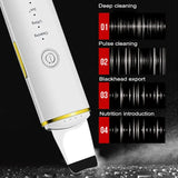 Ultrasonic Skin Scrubber Facial Cleaner