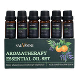 10ml Aromatherapy Essential Oil Set