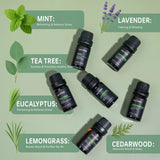 10ml Aromatherapy Essential Oil Set