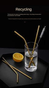 Reusable Stainless Steel Straws Set