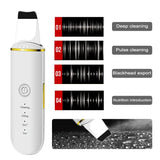 Ultrasonic Skin Scrubber Facial Cleaner