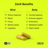 Calm Energy Bundle
