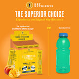 Electrolyte Recovery Plus Powder (Sugar-Free)